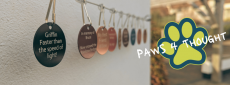Paws 4 Thought Updated